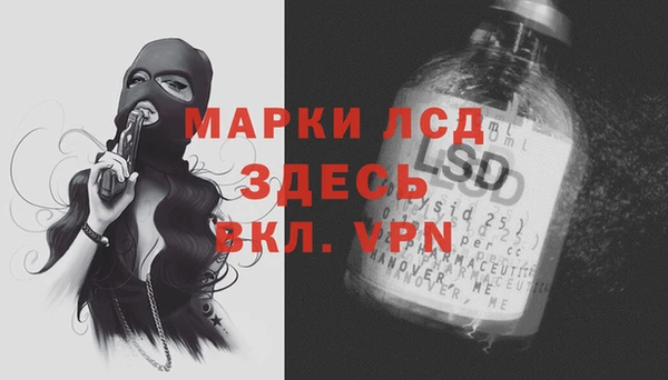 индика Верея